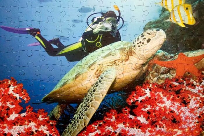 Özel Tasarım Kutu Puzzle